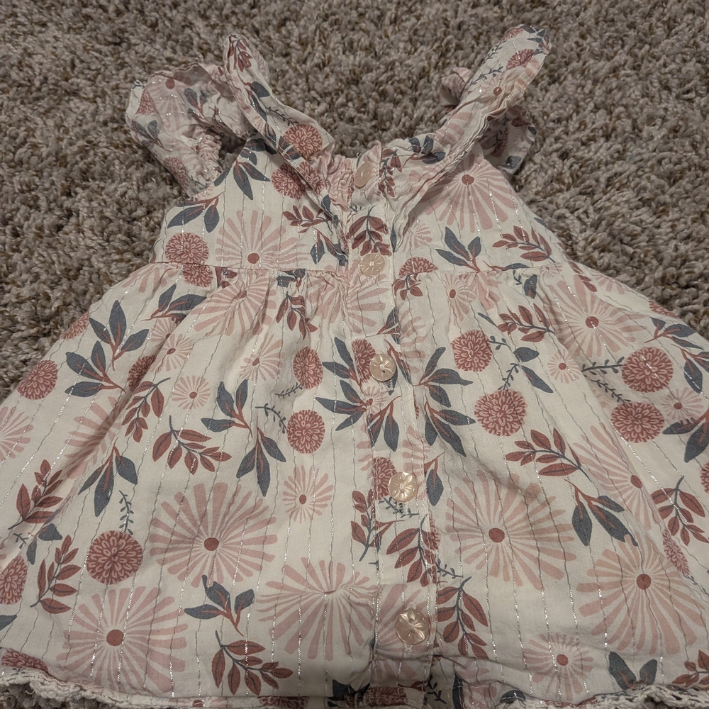 6/$35 Joie Floral Dress Size 3/6 Months